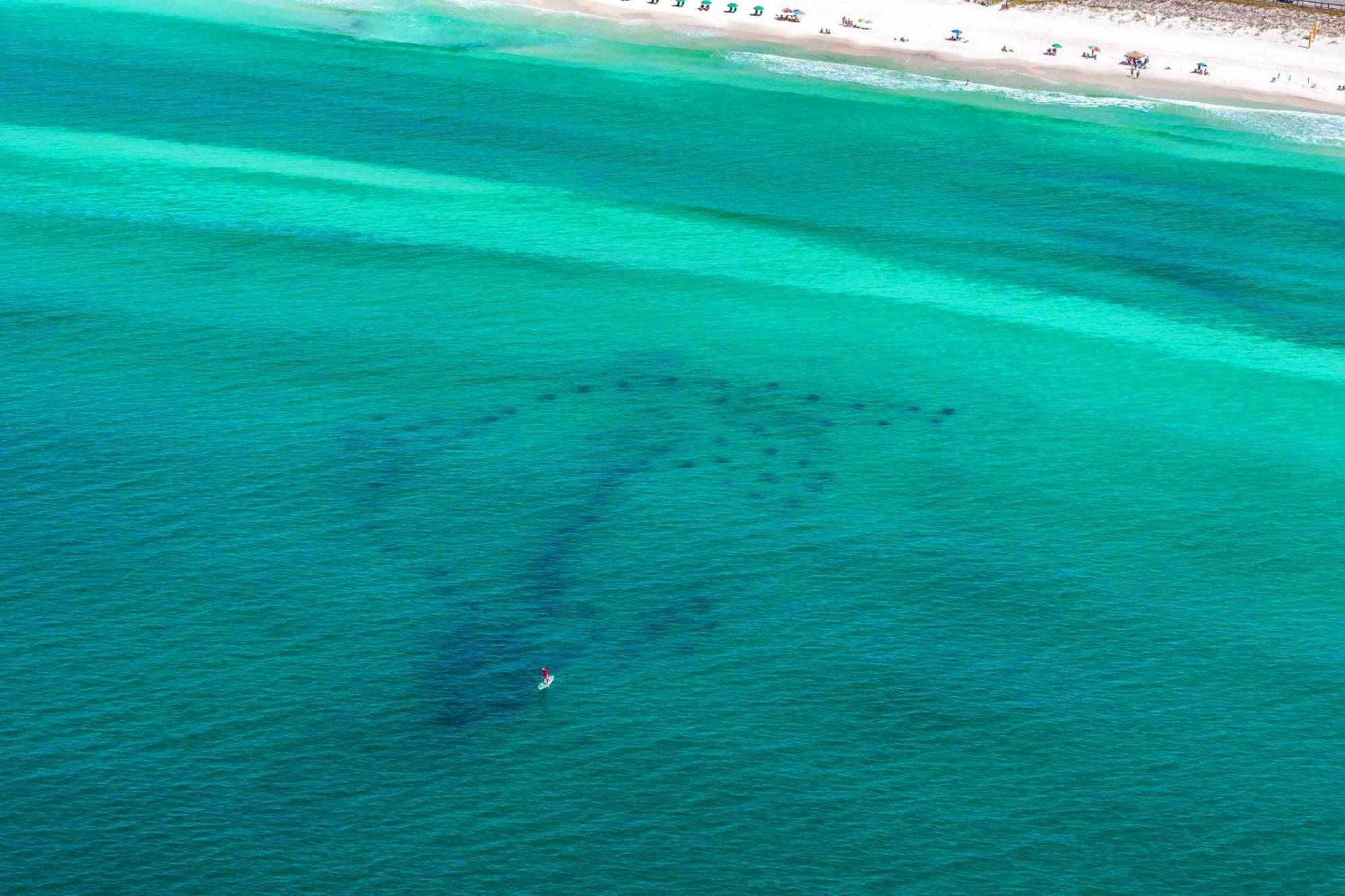 Stay Anchored Destin Extérieur photo